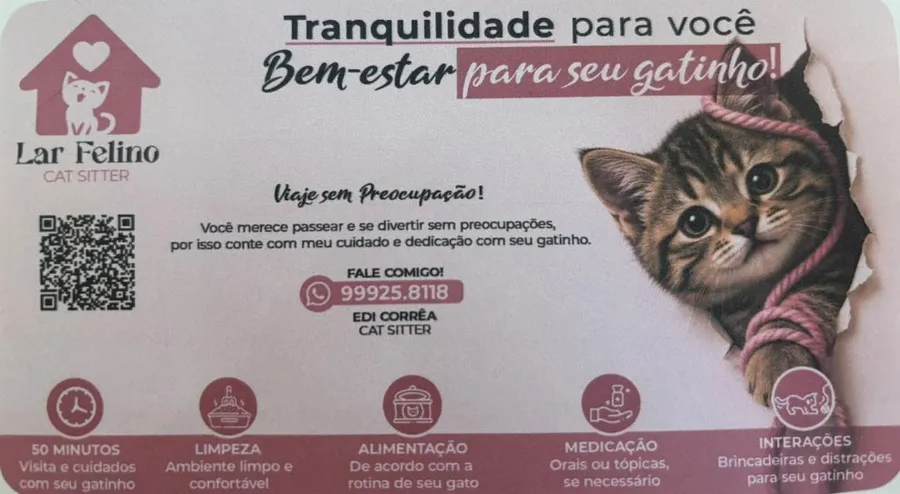 Material de divulgação de Lar Felino Cat Sitter